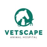veterinary practice