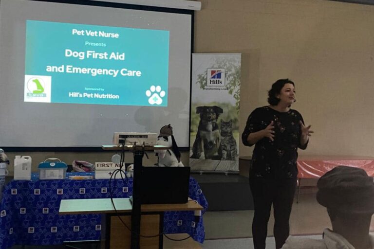 Pet Vet Nurse First Aid Course