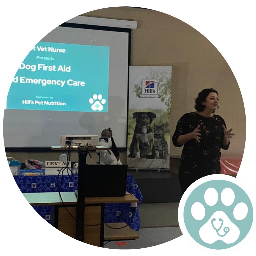 Pet Vet Nurse presenting Pet First Aid course